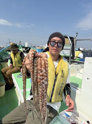 マダコ