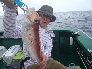 マダイ