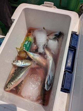 アジ