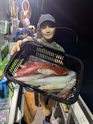 アカイカ