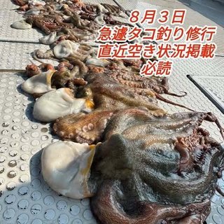 マダコ