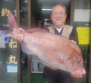 マダイ