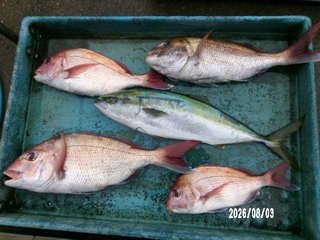 タイ