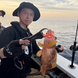 キジハタ