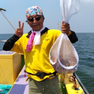 マダコ
