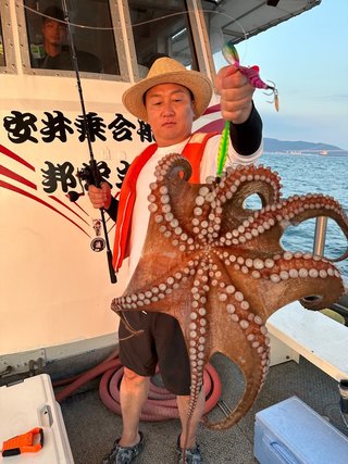 タコ