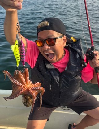 タコ