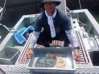 タコ