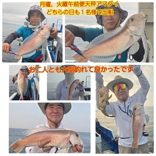 シロアマダイ