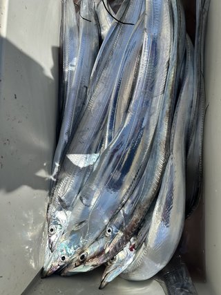 アジ