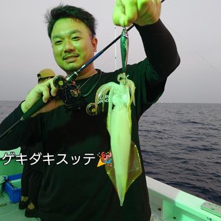 ヤリイカ