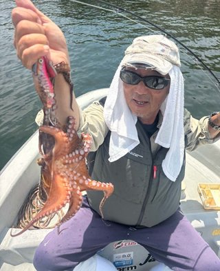 タコ