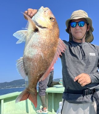 マダイ