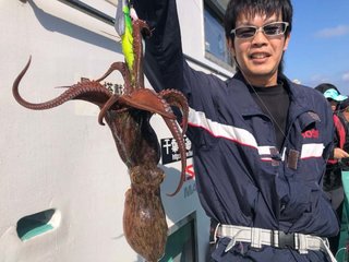 タコ