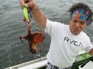 マダコ