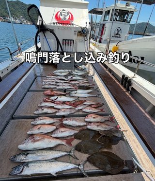 サワラ