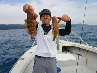 キジハタ