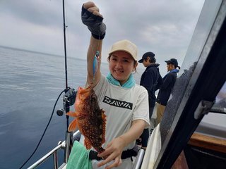 アオハタ