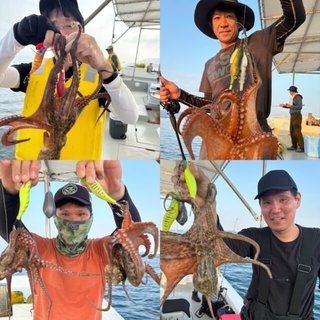 タコ