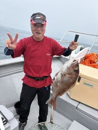 マダイ