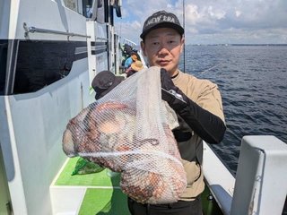 マダコ