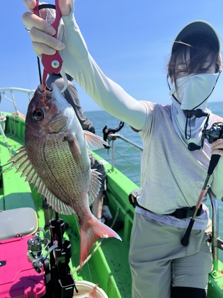 マダイ