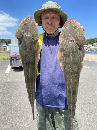 マゴチ