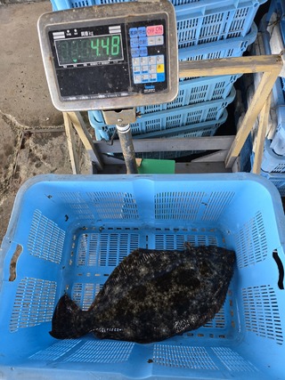 アジ