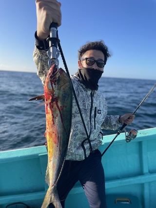 シイラ