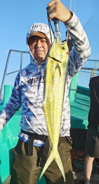 シイラ