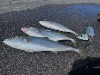 タチウオ