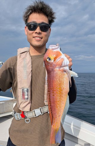 アマダイ