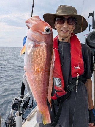 アマダイ