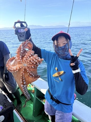 タコ