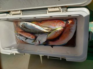 アマダイ