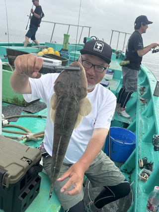 マゴチ