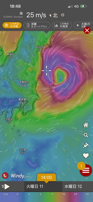 ワラサ