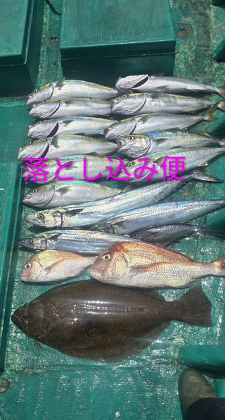 ヒラメ