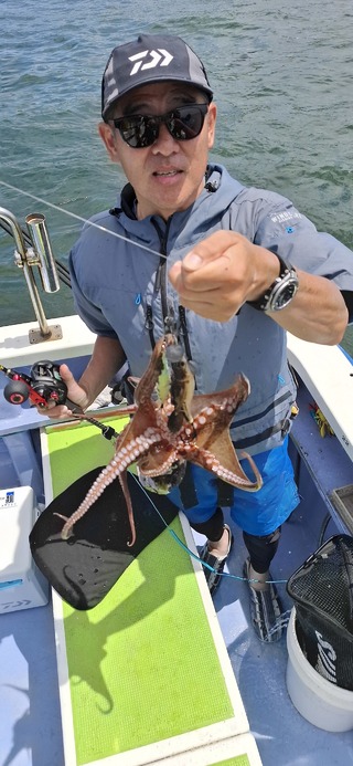 タコ