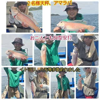 シロアマダイ