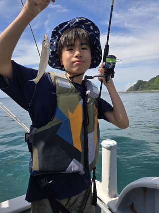 シロギス