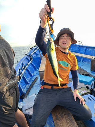 シイラ