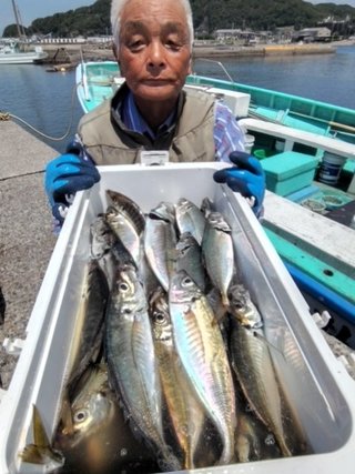 カマス