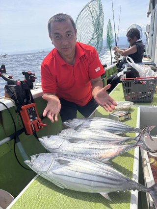 カツオ