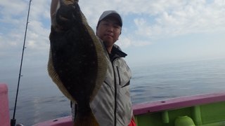 ヒラメ