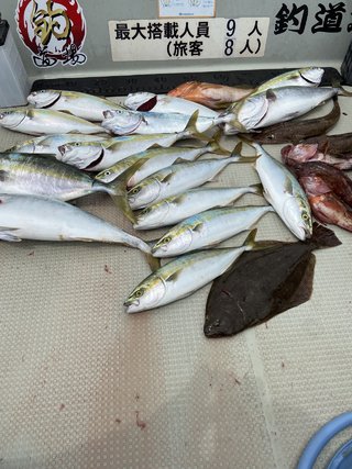 ハマチ