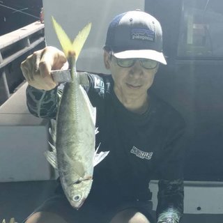 アジ