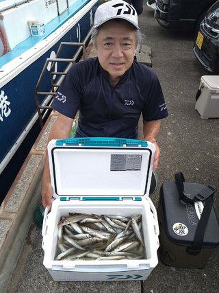 シロギス