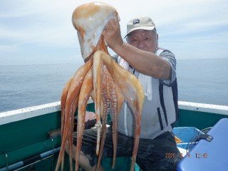 スルメイカ