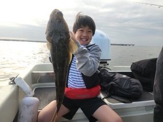 マゴチ